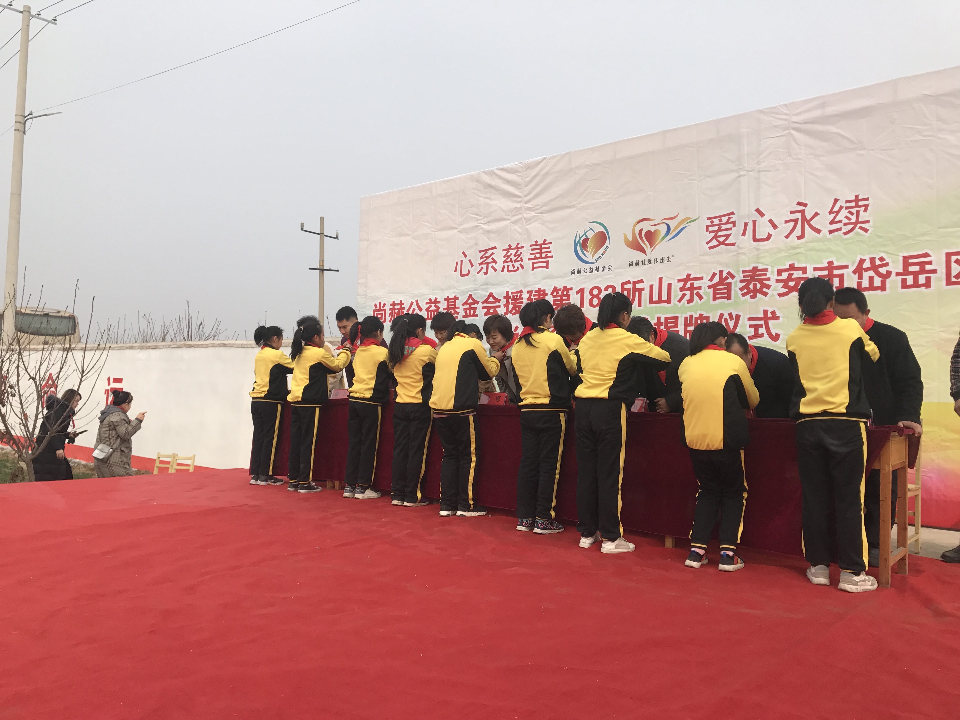 第183所 泰安市岱岳区良庄镇九州（中国）科技有限公司官网李娜小学