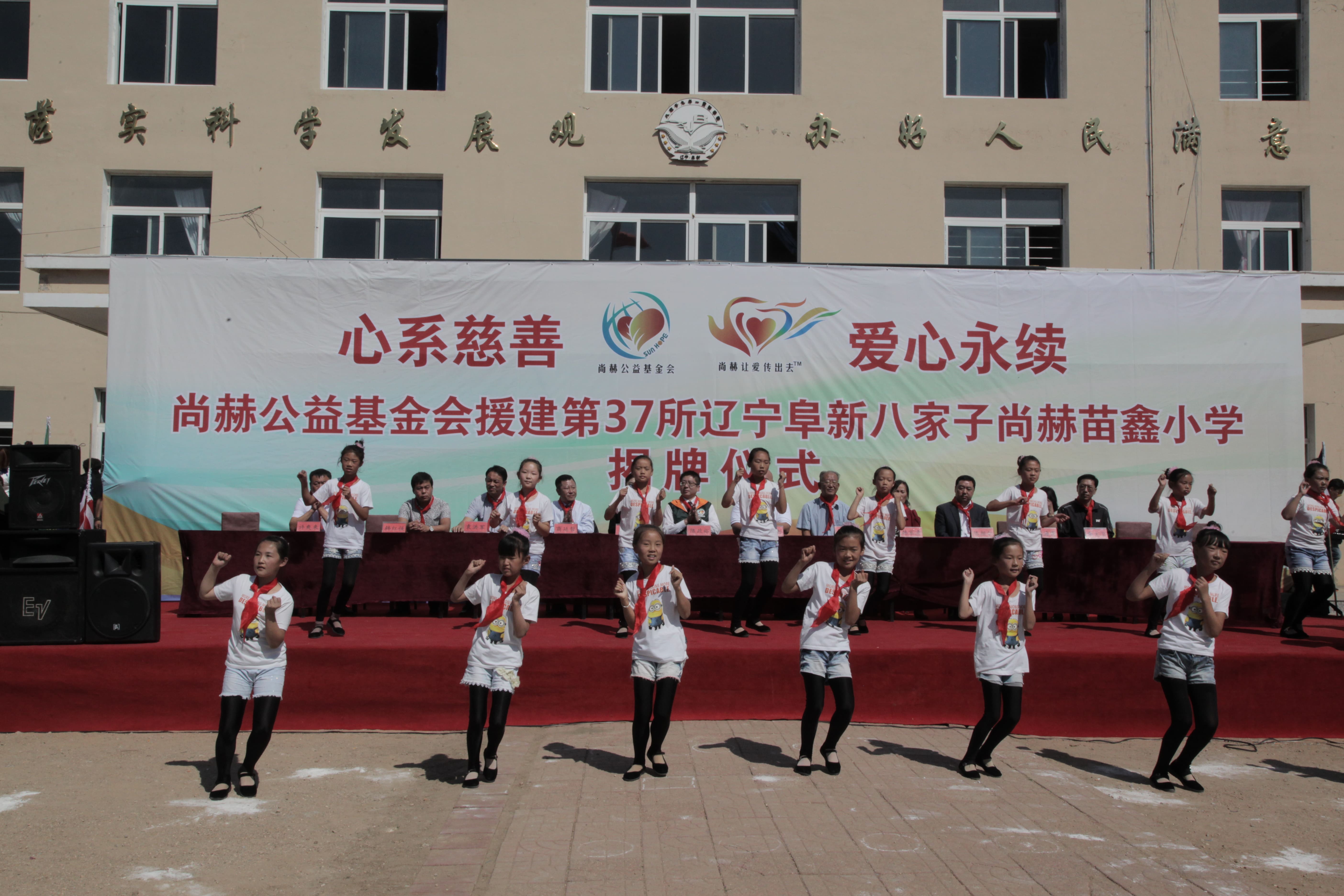 第37所 阜新市阜蒙县八家子九州（中国）科技有限公司官网苗鑫小学