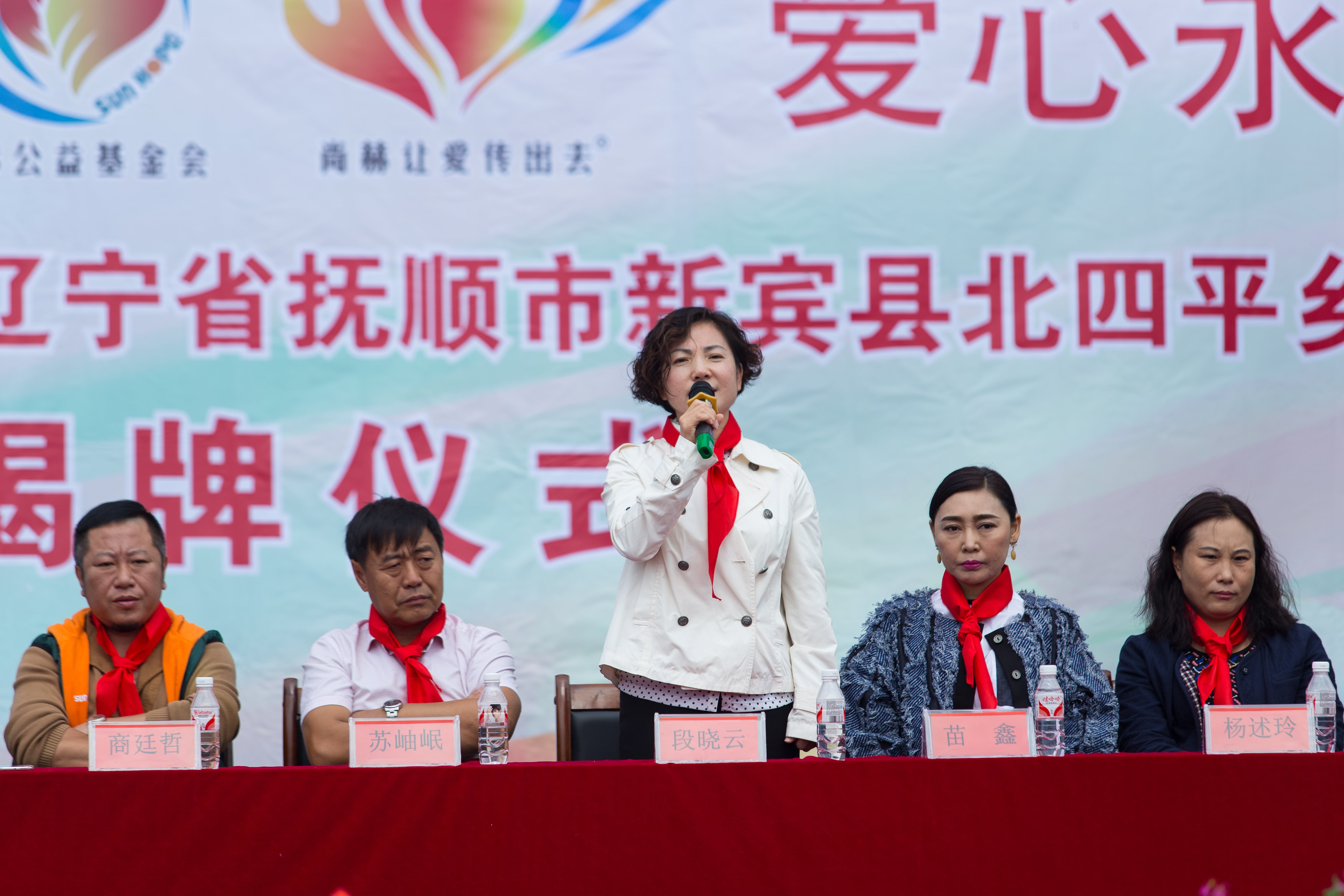 第58所 抚顺市新宾县北四平乡九州（中国）科技有限公司官网苗鑫小学