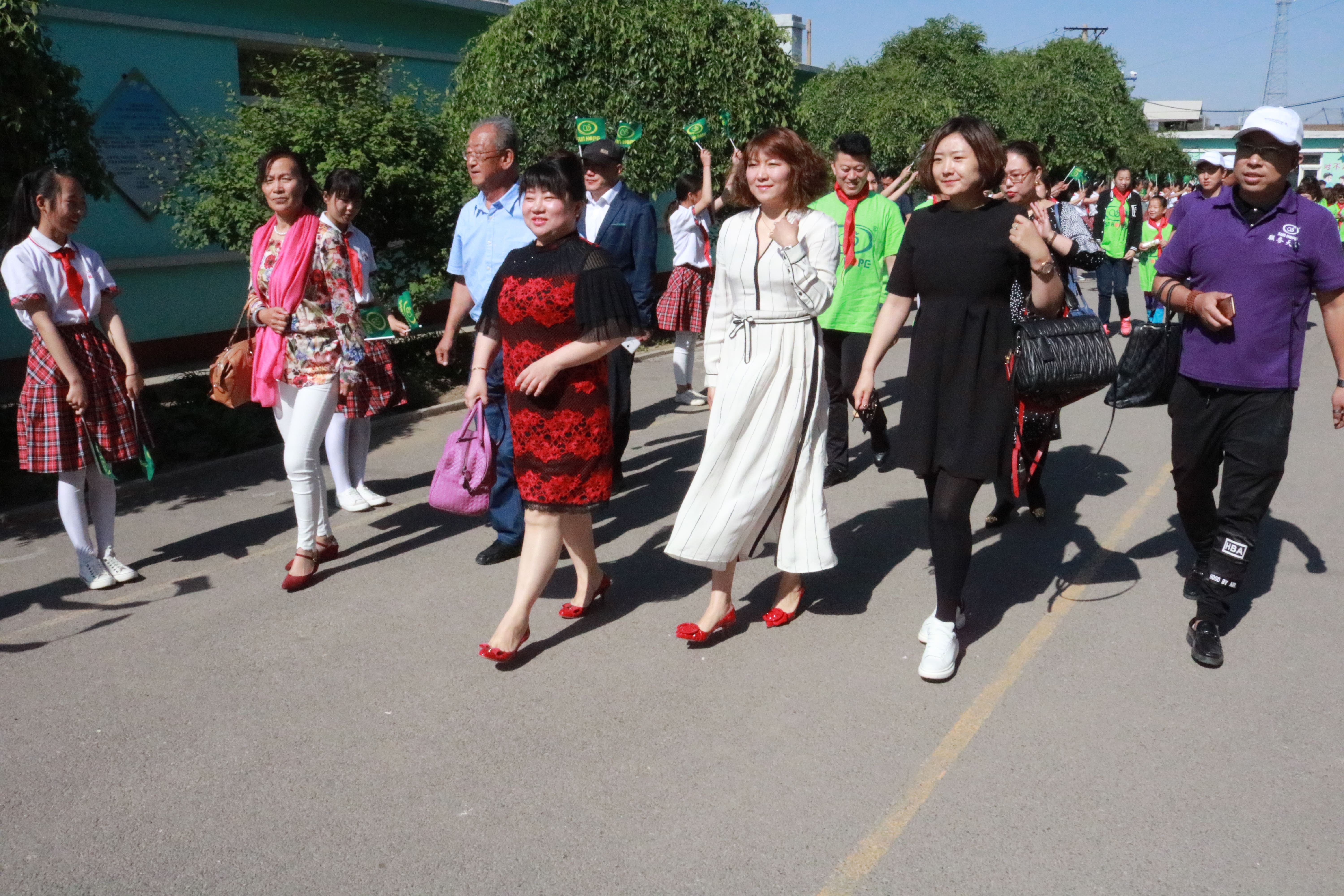 第96所 锦州市黑山县胡家镇九州（中国）科技有限公司官网董波小学