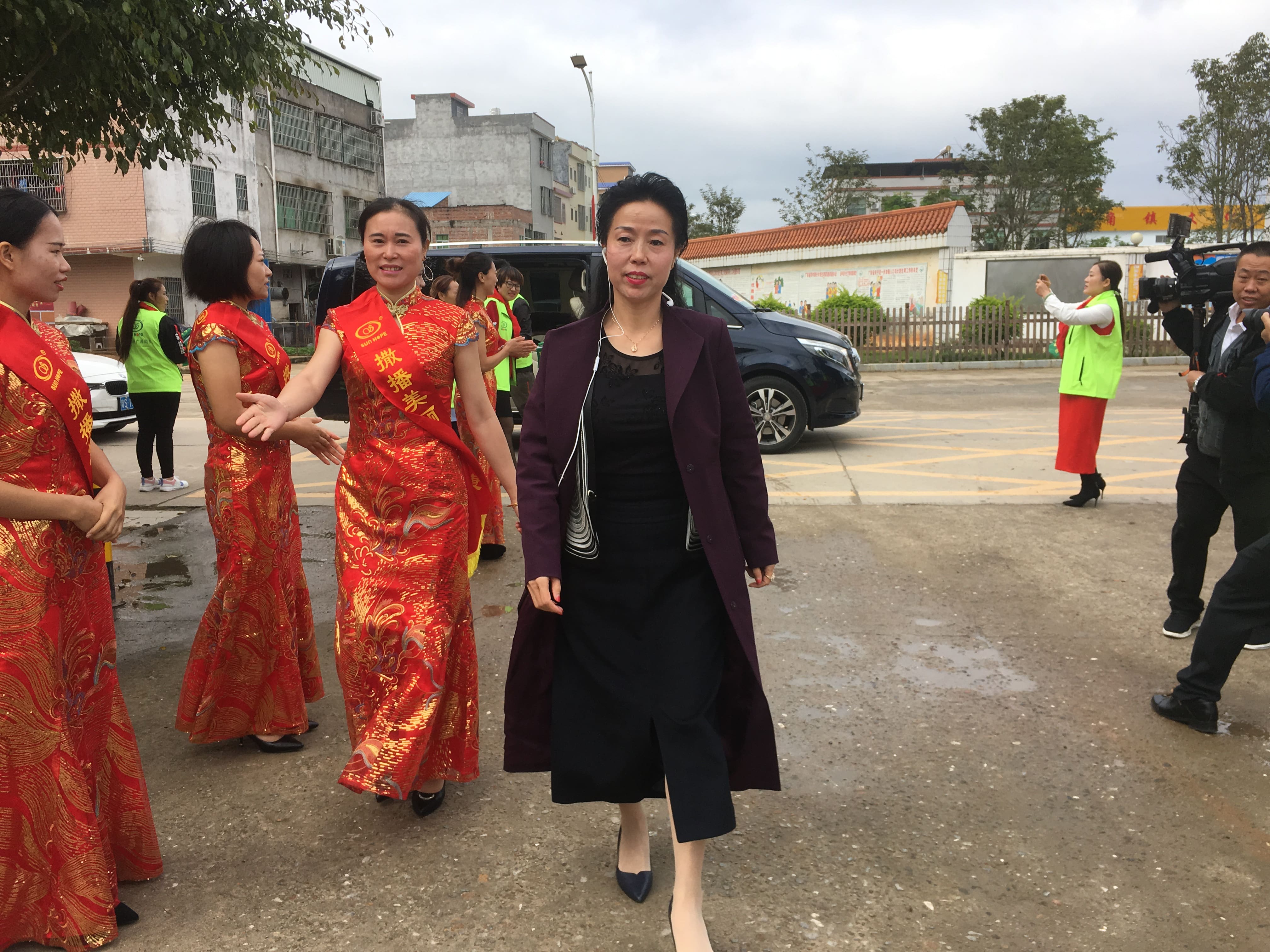 第181所 河源市连平县三角镇九州（中国）科技有限公司官网刘金凤小学