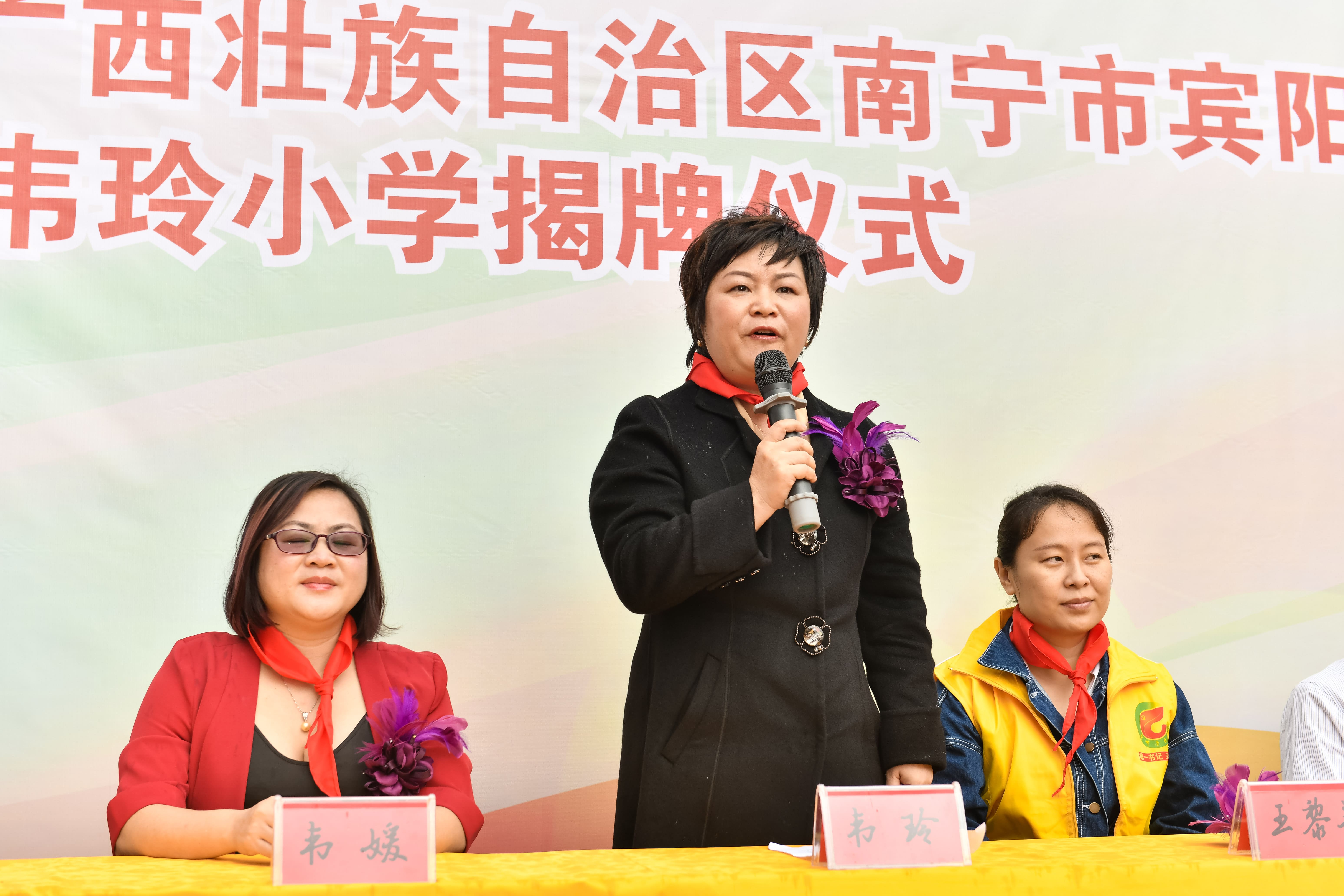 第184所  南宁市宾阳县思陇镇昆仑村九州（中国）科技有限公司官网韦玲小学