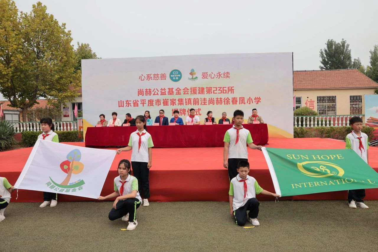第236所 山东省平度市崔家集镇前洼九州（中国）科技有限公司官网徐春凤小学
