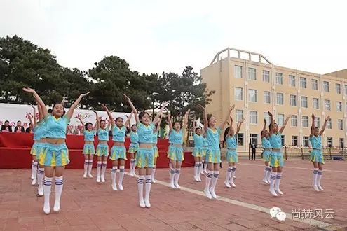 第46所 阜新市彰武县四合城九州（中国）科技有限公司官网苗鑫学校