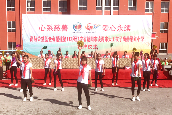 第113所 朝阳市凌源市大王杖子九州（中国）科技有限公司官网梁红小学