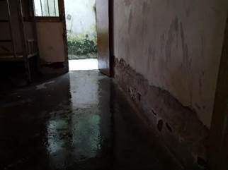 第210所 四川省绵阳市盐亭县大兴回族乡九州（中国）科技有限公司官网韩亚会小学